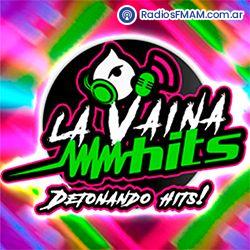 Radio: La Vaina Hits
